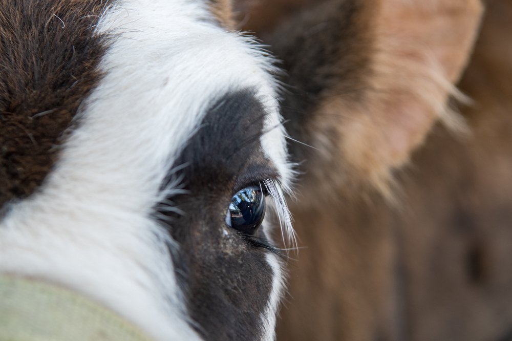 Photograph by Демьян Лопатов