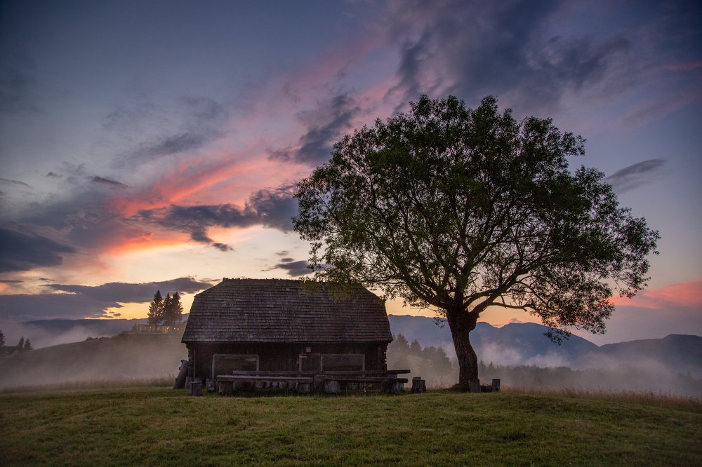 Photograph by Tamas Vargyasi