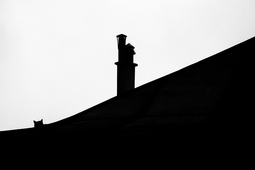 Photograph by Евгения Гудкова