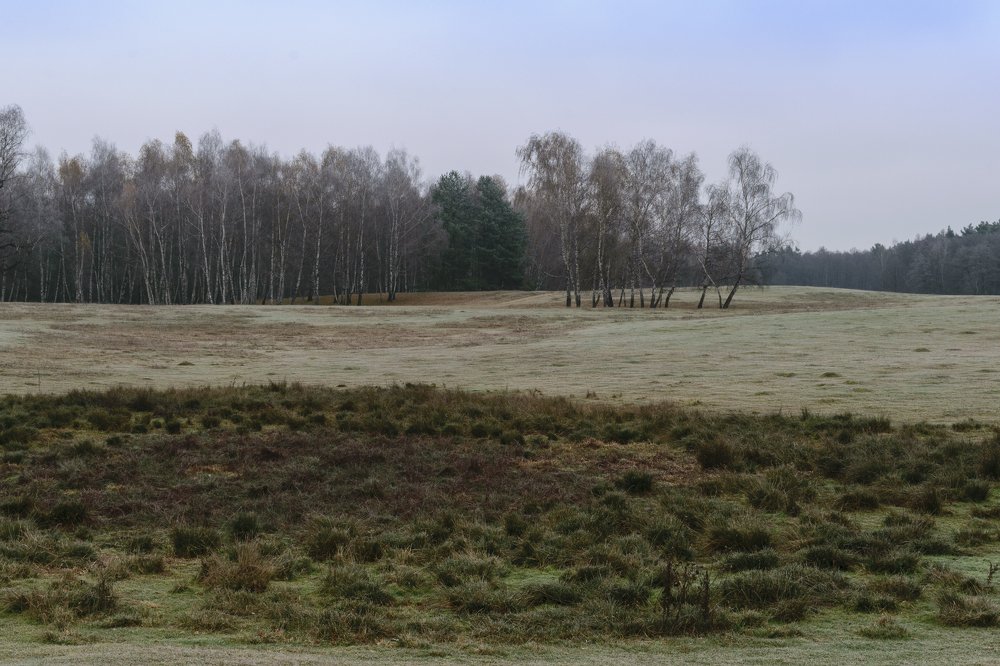 Фотография автора Libardi Gino