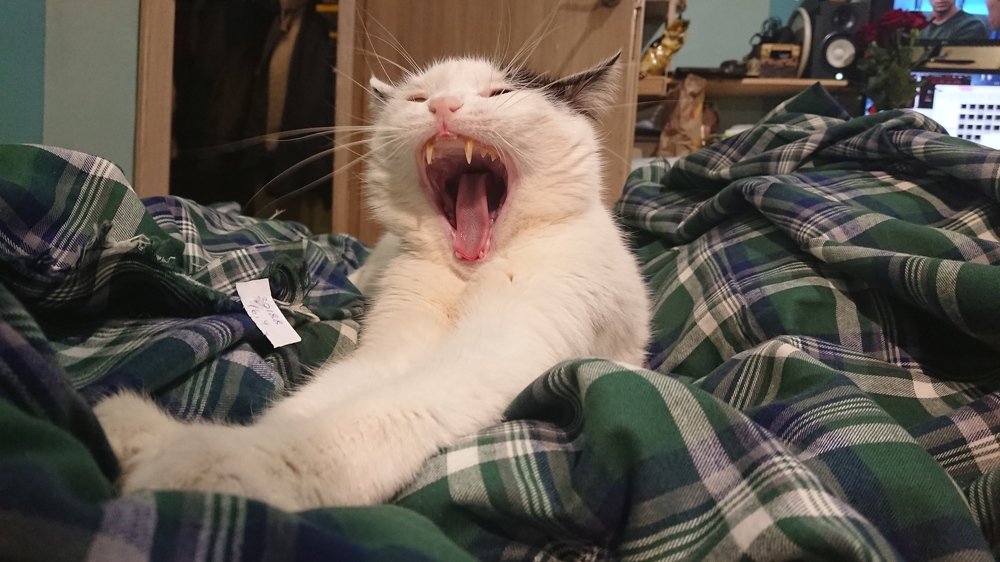 Photograph by Александра Баранова