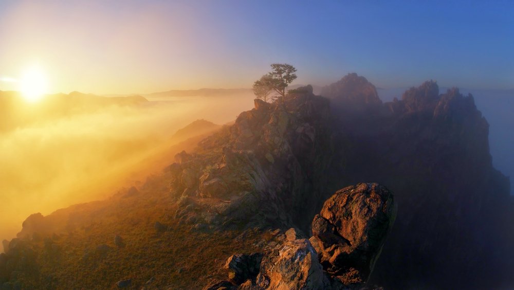 Туманный терминатор