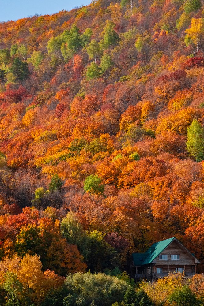 Домик в лесу