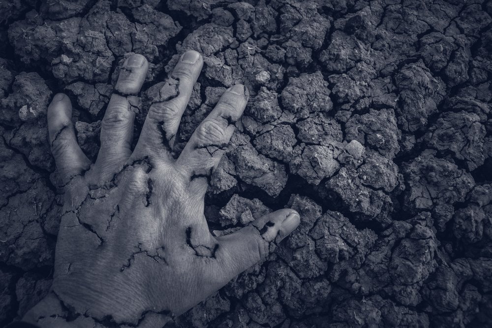 Фотография автора Javier Galli