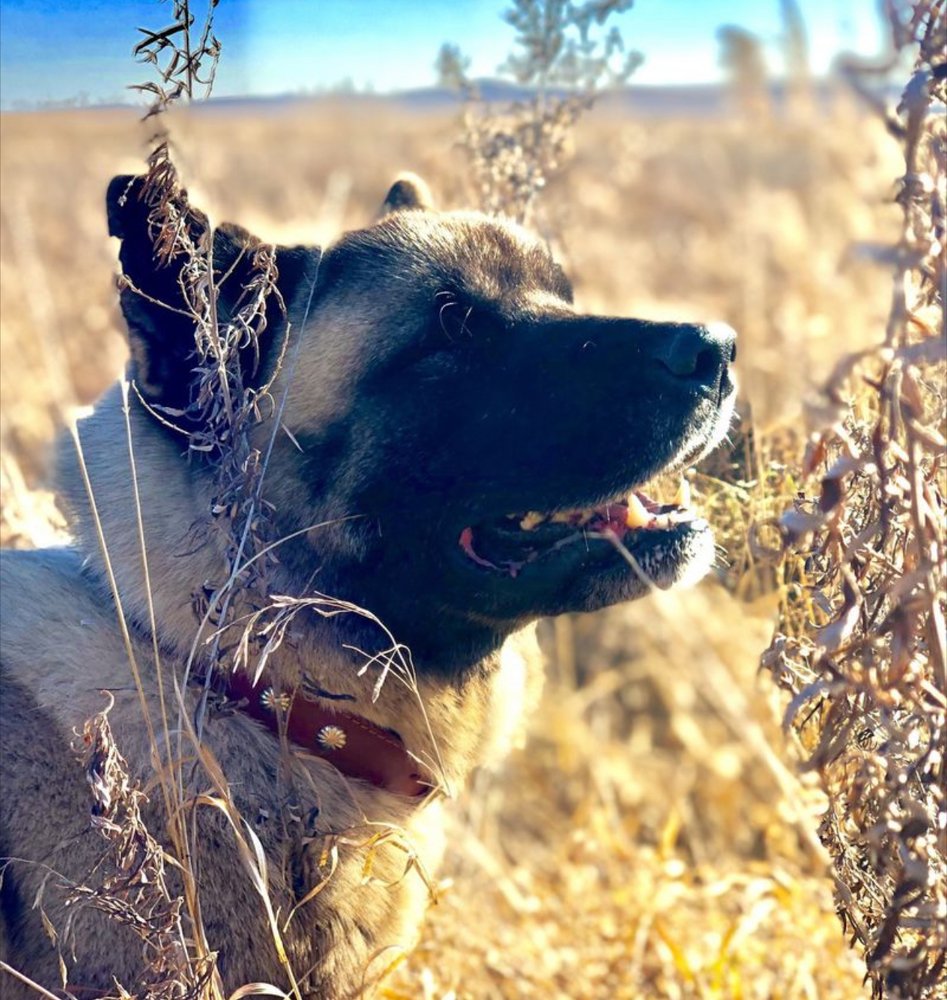 Photograph by Роман