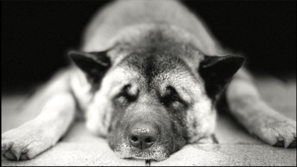 Photograph by Роман