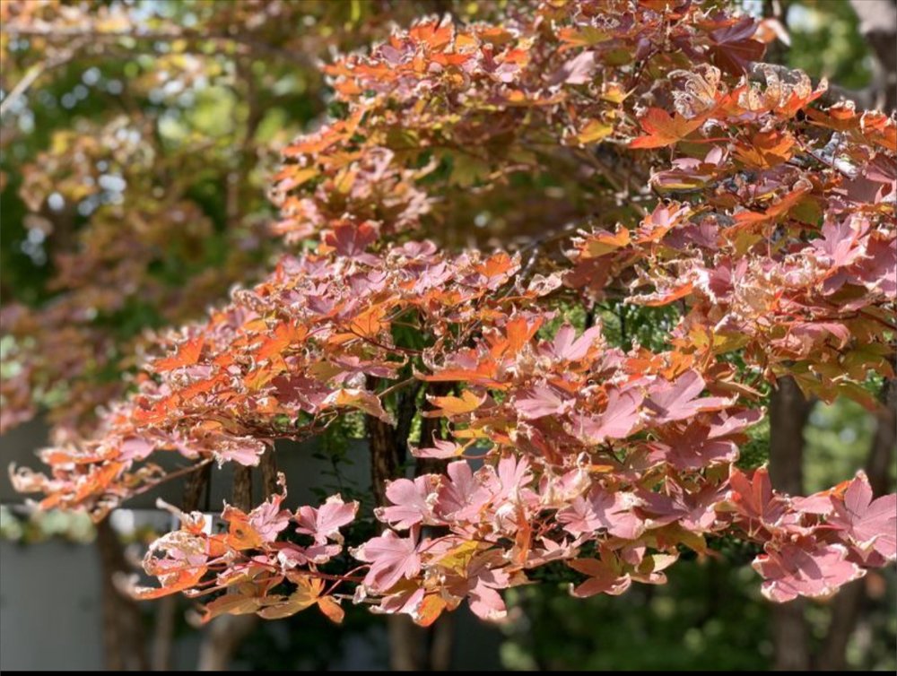 Photograph by Роман