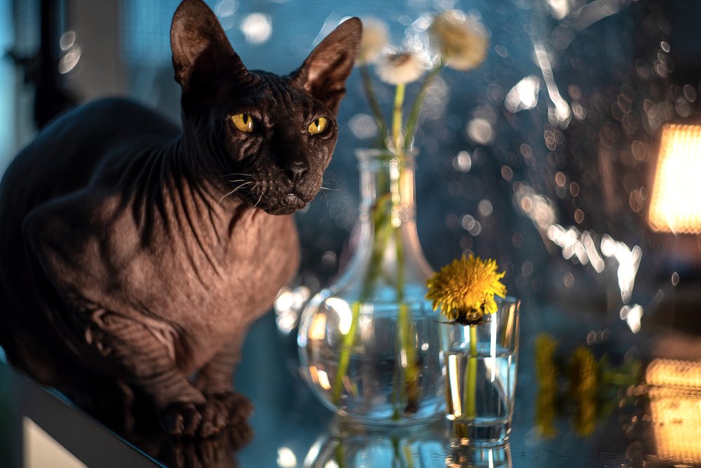 Photograph by Юлия Осипенко