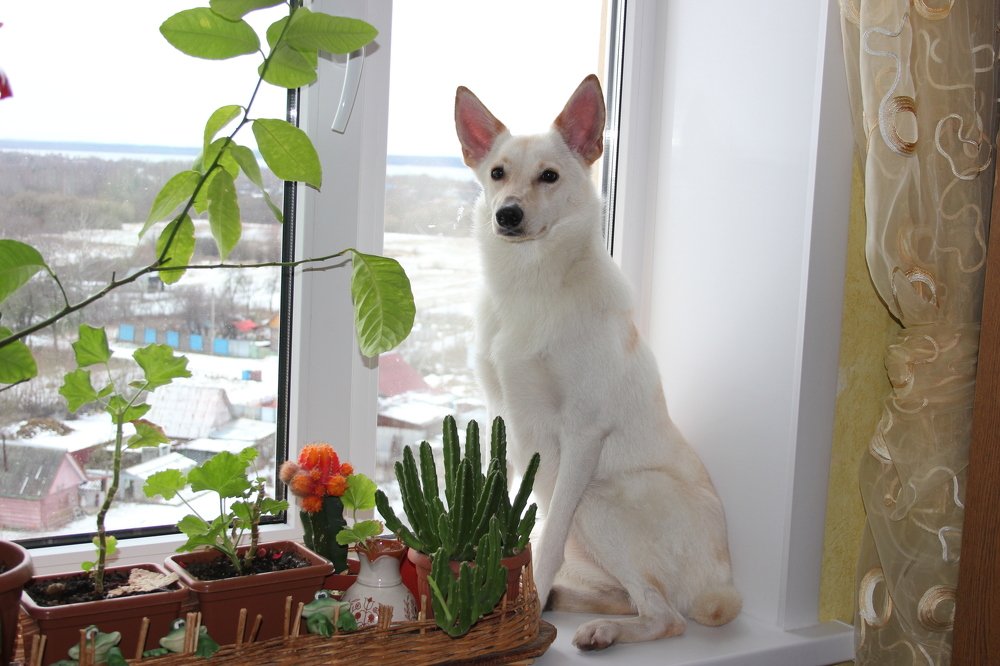 Photograph by Юлия