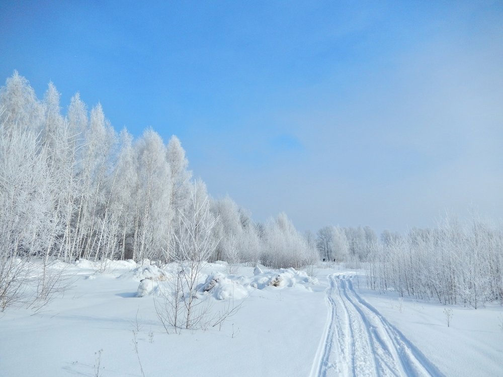 Фотография автора Клавдия Васильева