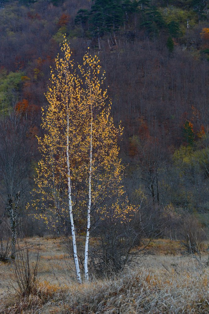 Photograph by Анатолий Орлов
