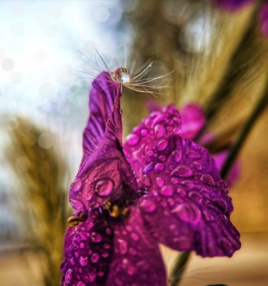 Photograph by Оксана Маракушина