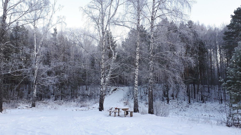 Photograph by Людмила Колеватова