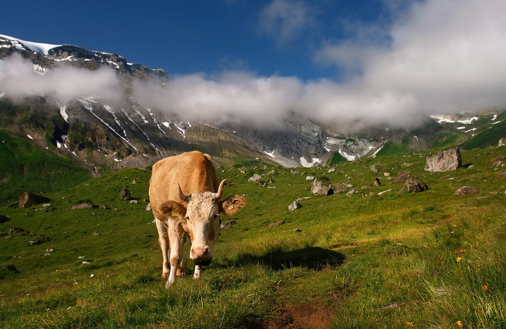 Photograph by Elena Wymann