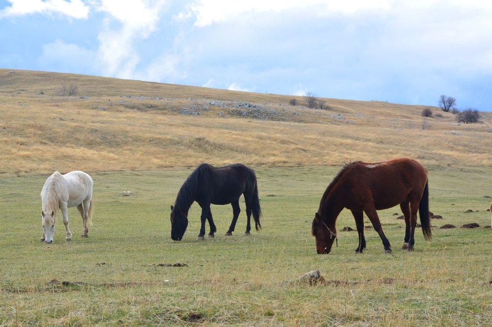 Photograph by Анатолий Орлов