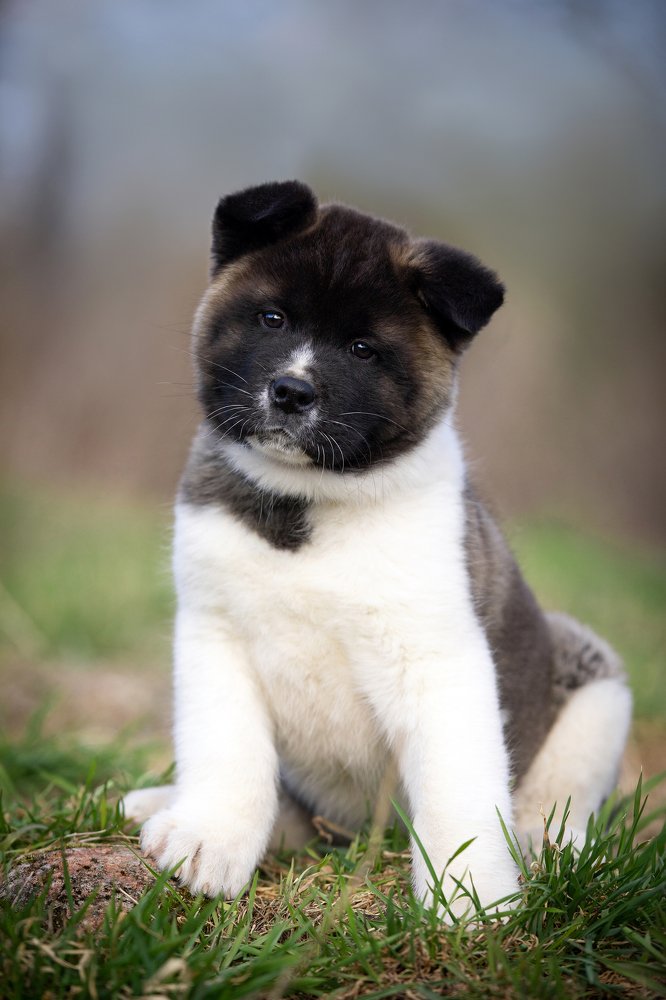 Photograph by Dasha Zueva