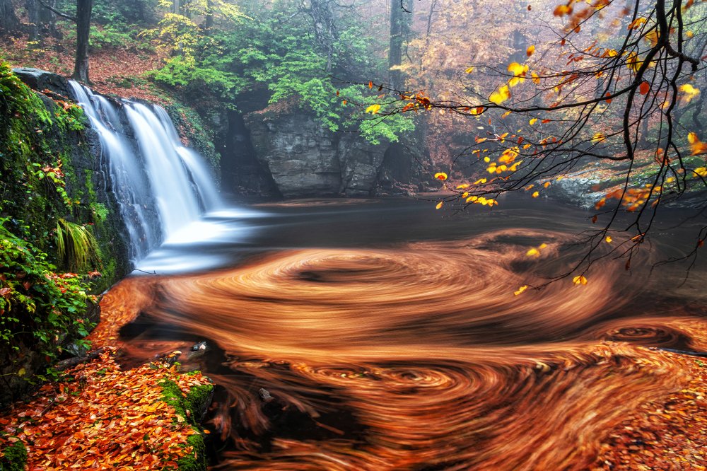 From a foggy autumn day