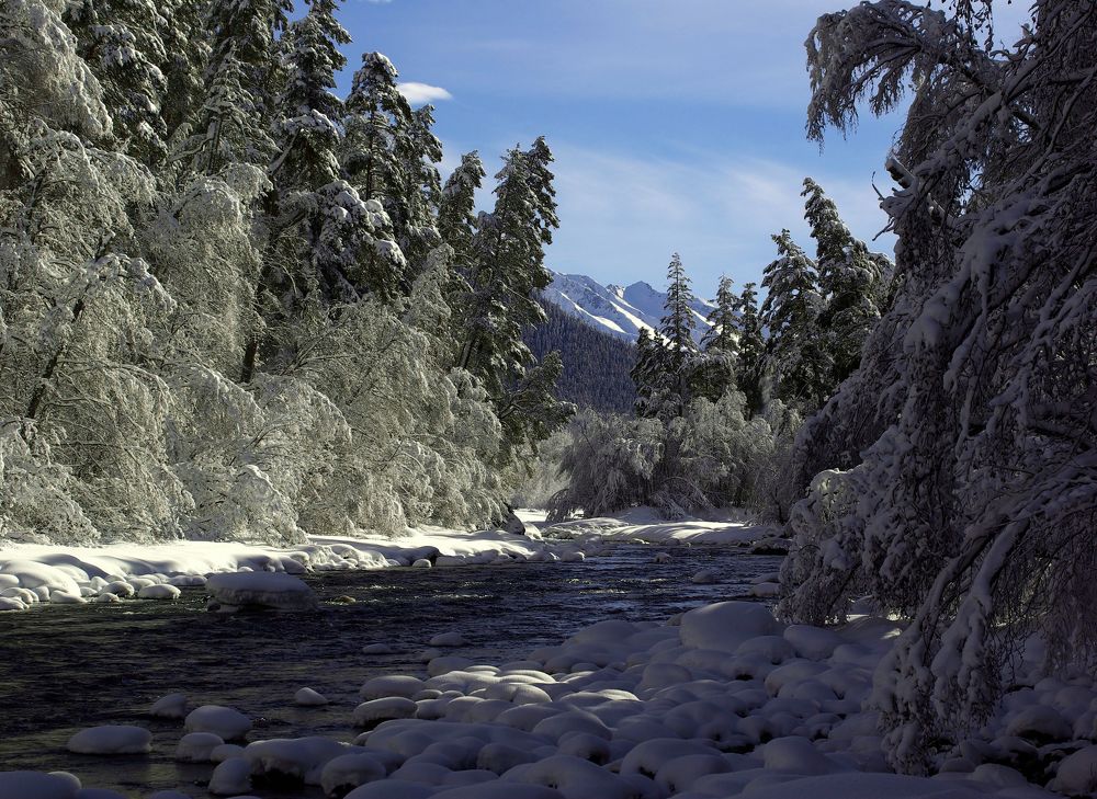 Photograph by Андрей Любимов