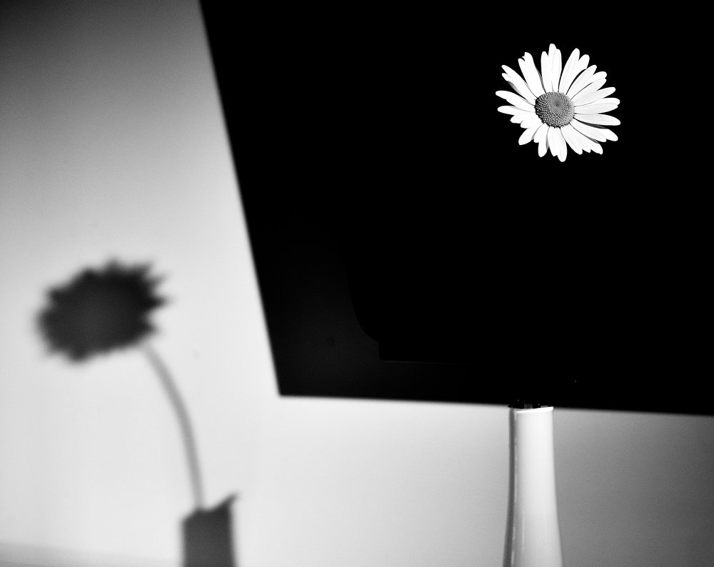 Photograph by Евгения Гудкова