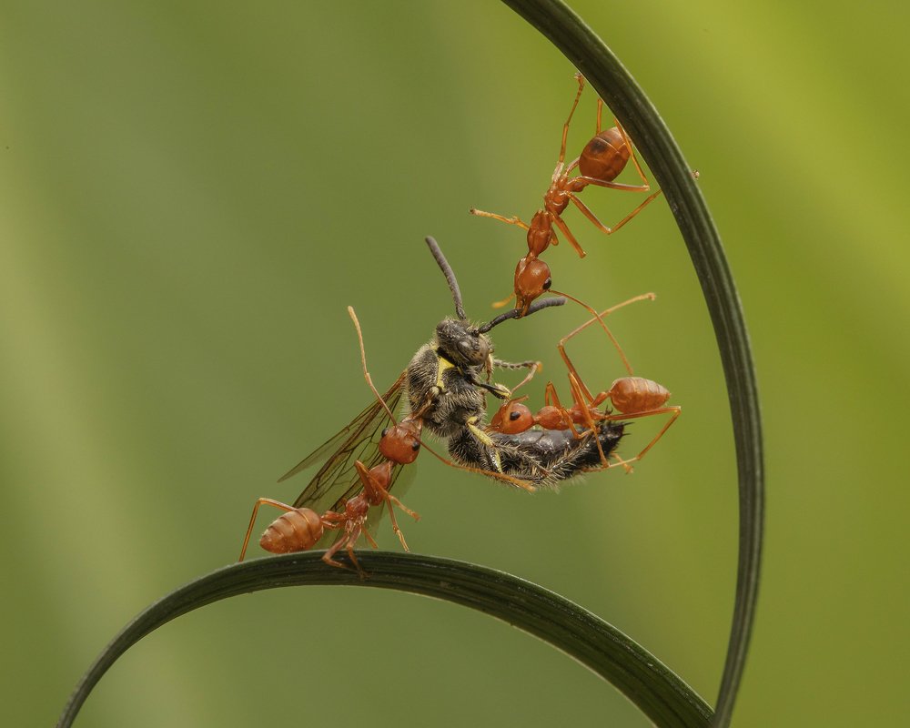 Photograph by Wei fu