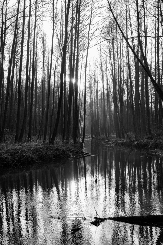 Photograph by Вячеслав