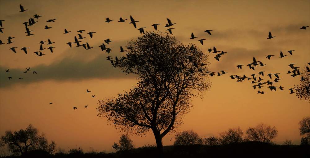 Photograph by Ieva