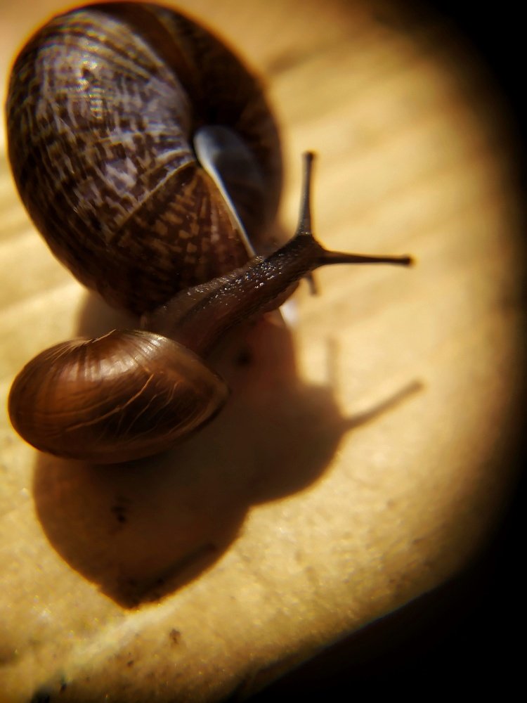 Photograph by Любовь Сухова