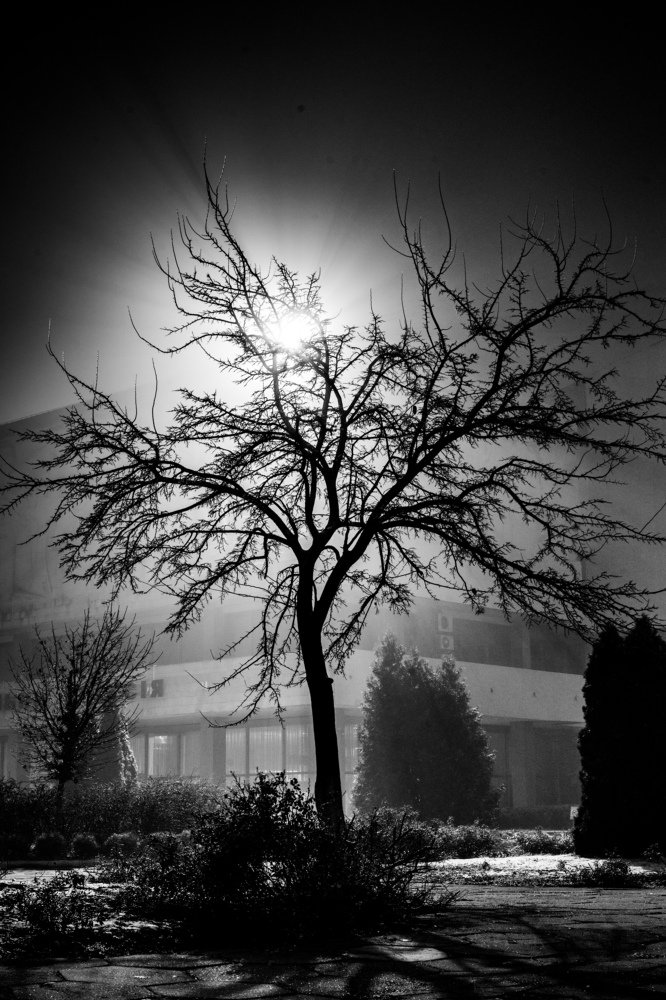 Photograph by Вячеслав