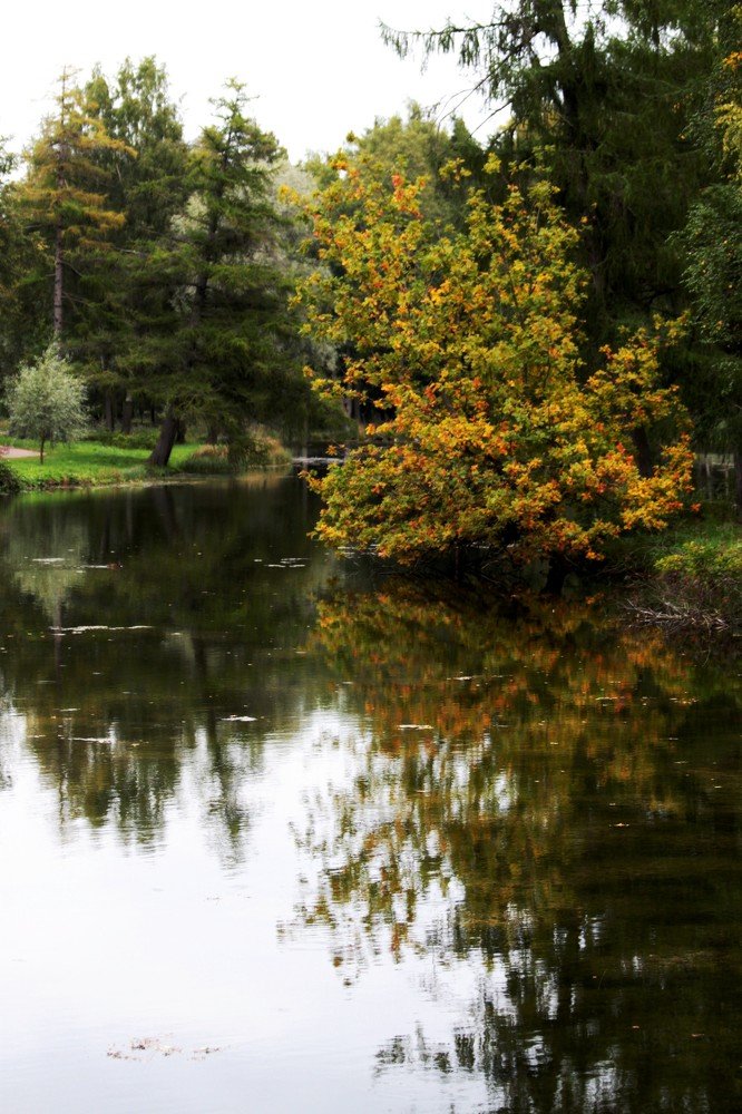 Photograph by Анастасия Солодкая