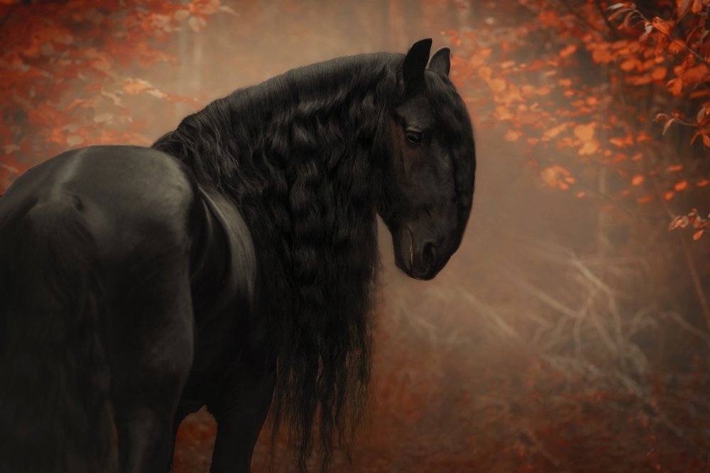 Photograph by Анастасия Корбут