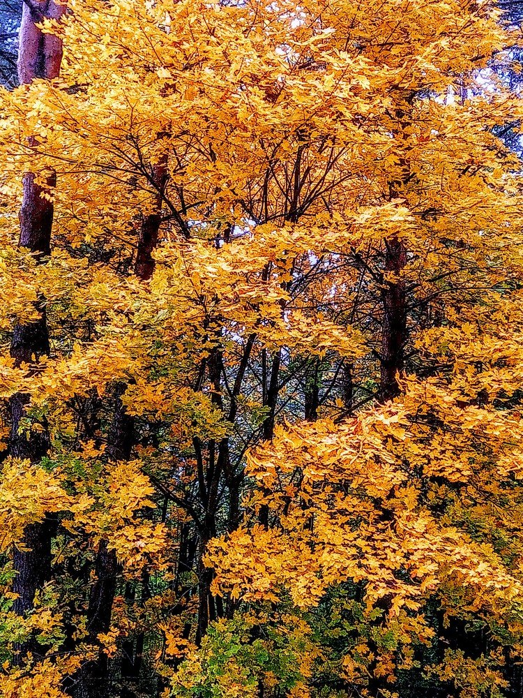 Photograph by Игорь Лебедев