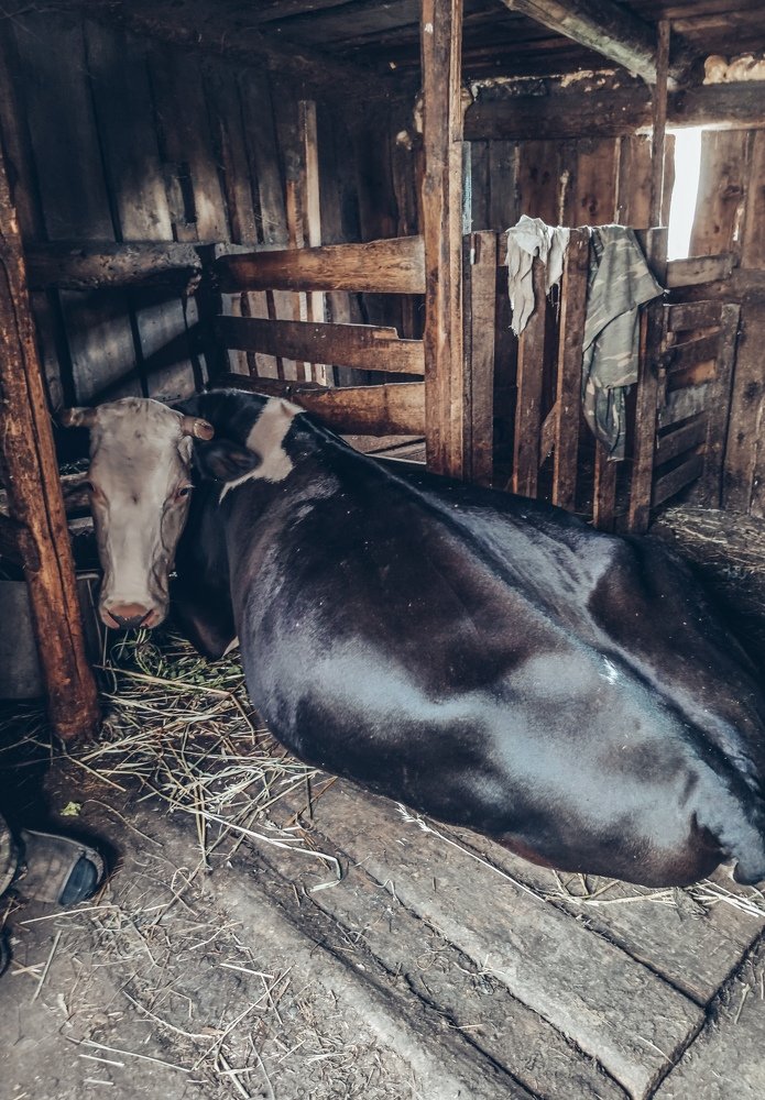 Photograph by Мария Фак