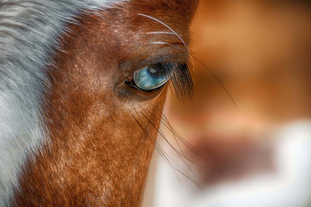 Photograph by Teodora Sarbinska