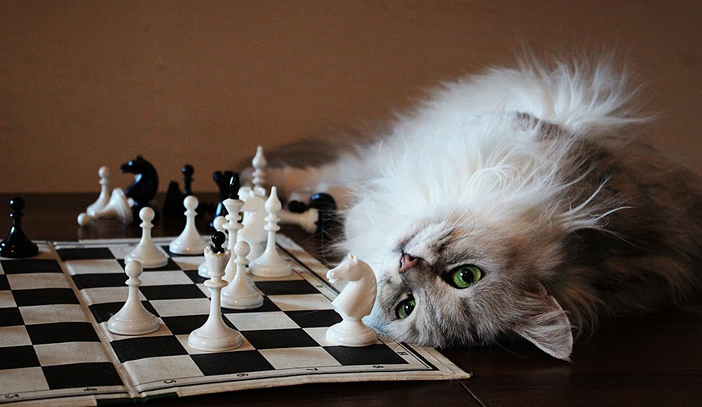 Photograph by Зоя Быкова