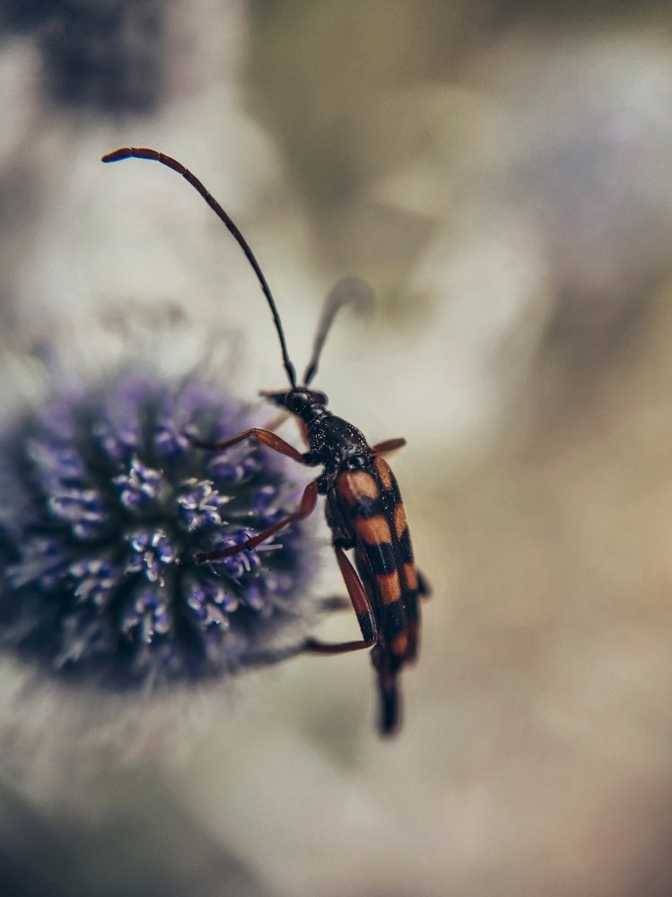 Photograph by Мария Фак