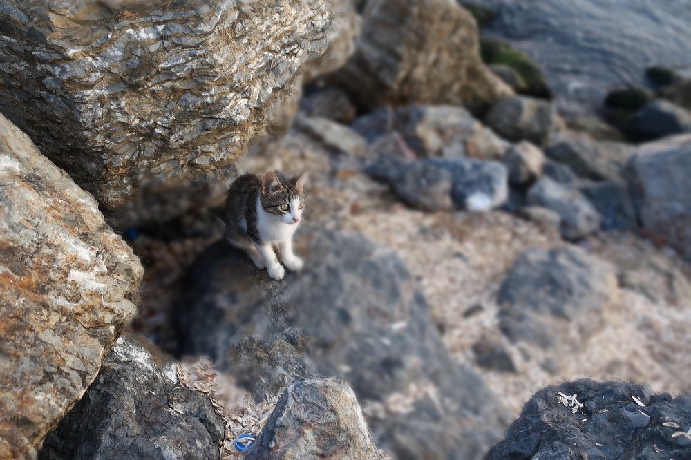 Photograph by Людмила Казак