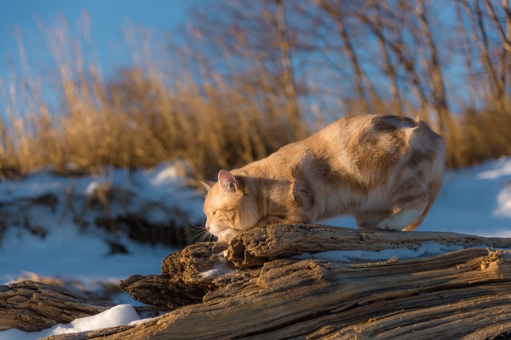 Photograph by Алексей Ознобихин