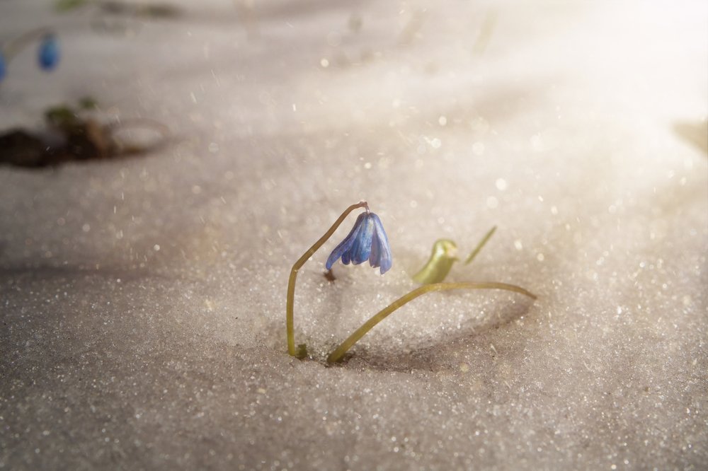 Photograph by Дмитрий Коваленко