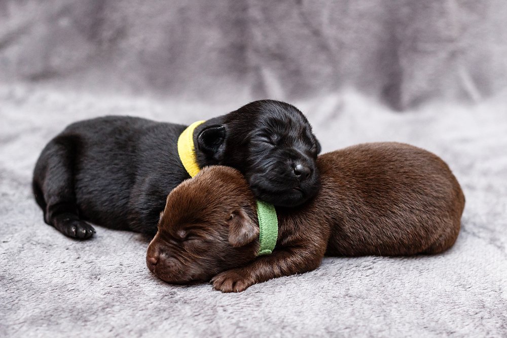 Photograph by Руслан Бабаханов