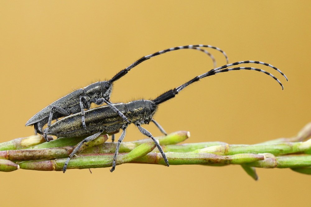 Photograph by Hasan Baglar
