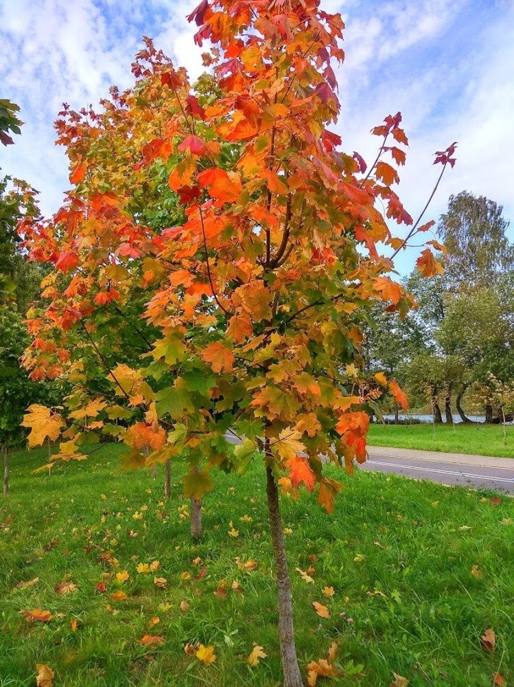 Photograph by Людмила Муравьева