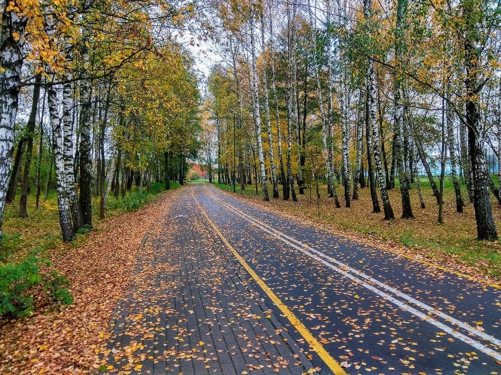 Photograph by Людмила Муравьева