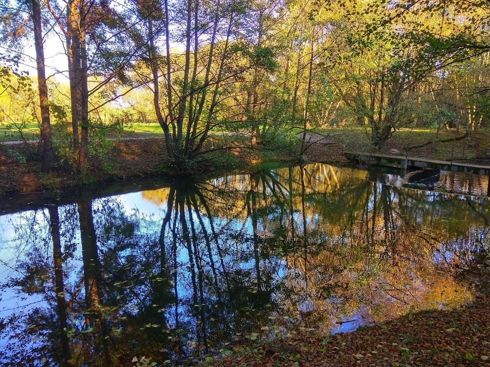 Photograph by Людмила Муравьева