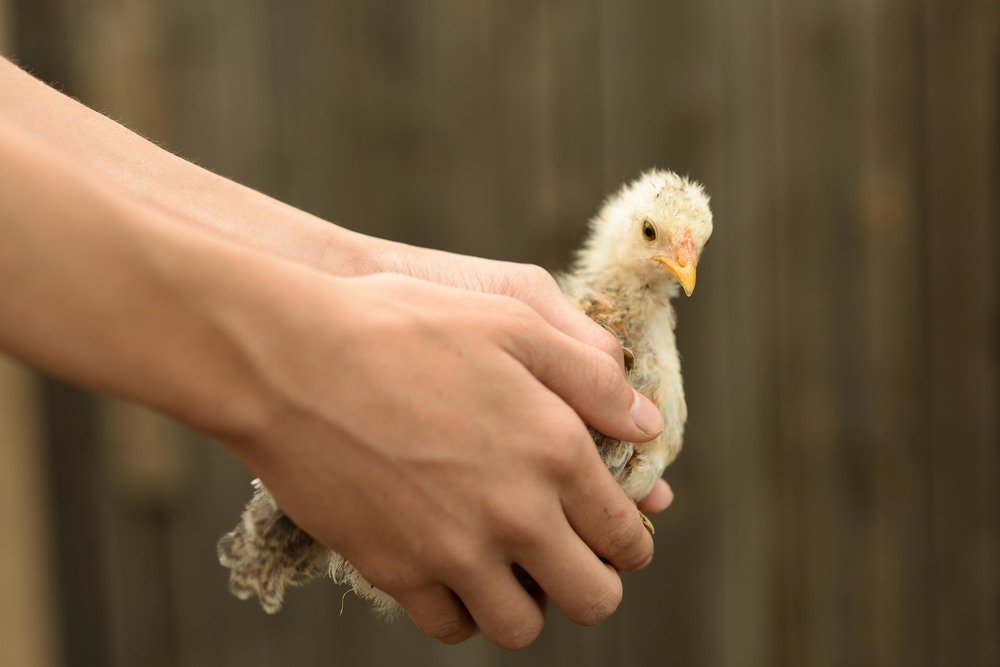 Photograph by Наталья Цуканова