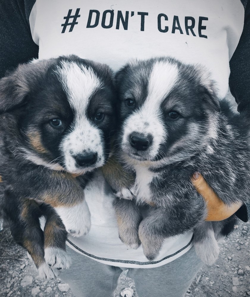 Нам не всё равно