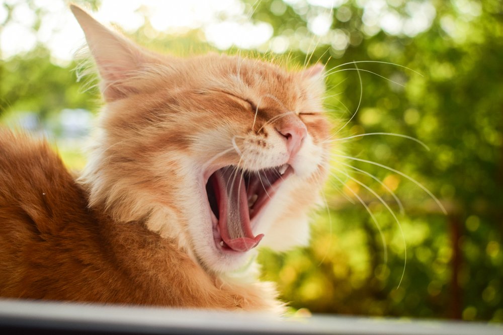 Photograph by Mаша Бакулина