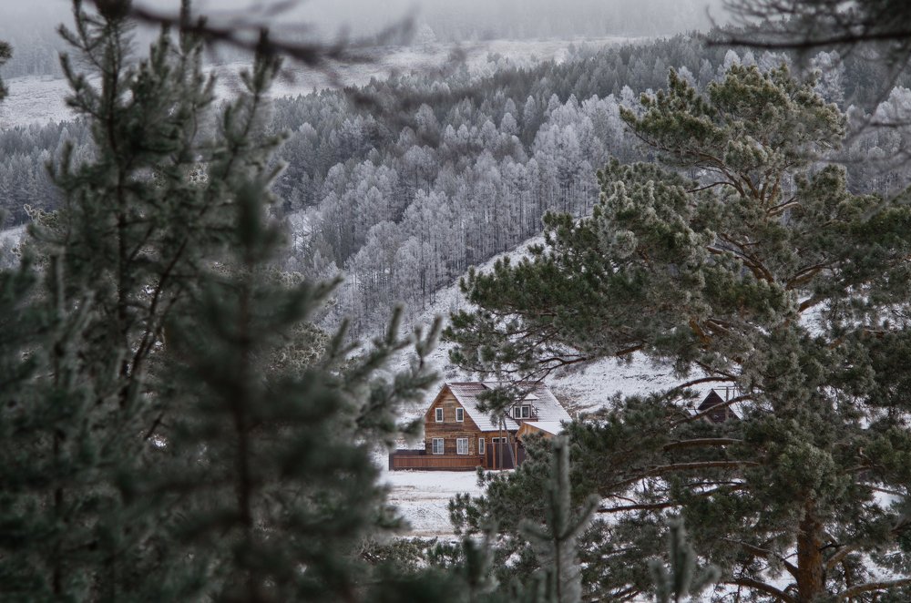 Photograph by Дмитрий Зуев