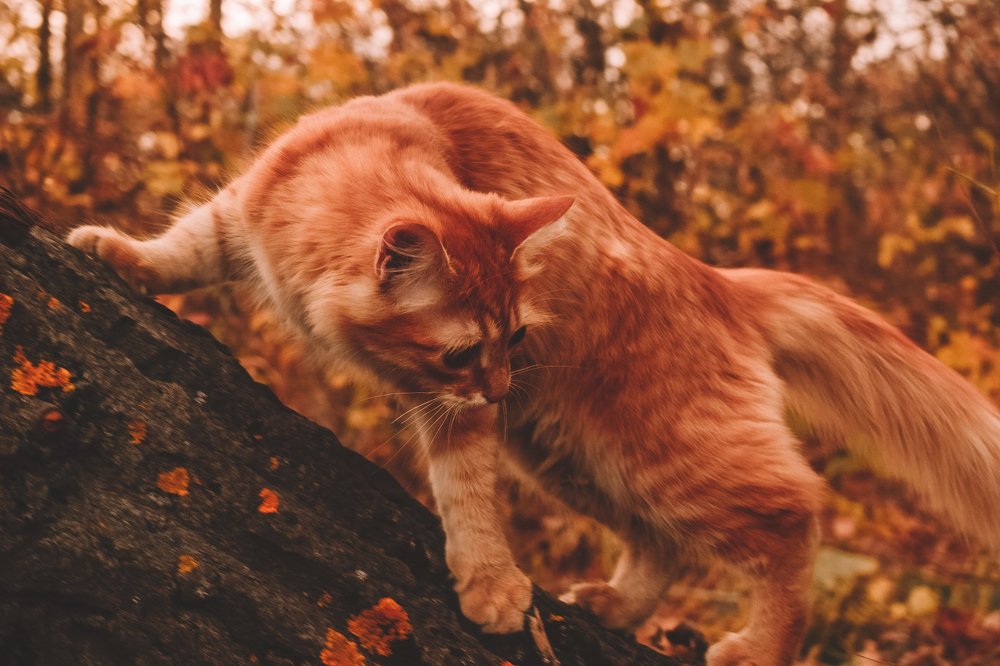 Photograph by Mаша Бакулина