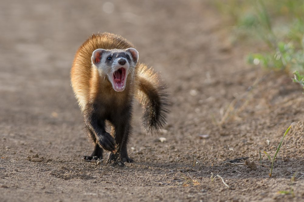 Photograph by Анна Голубева