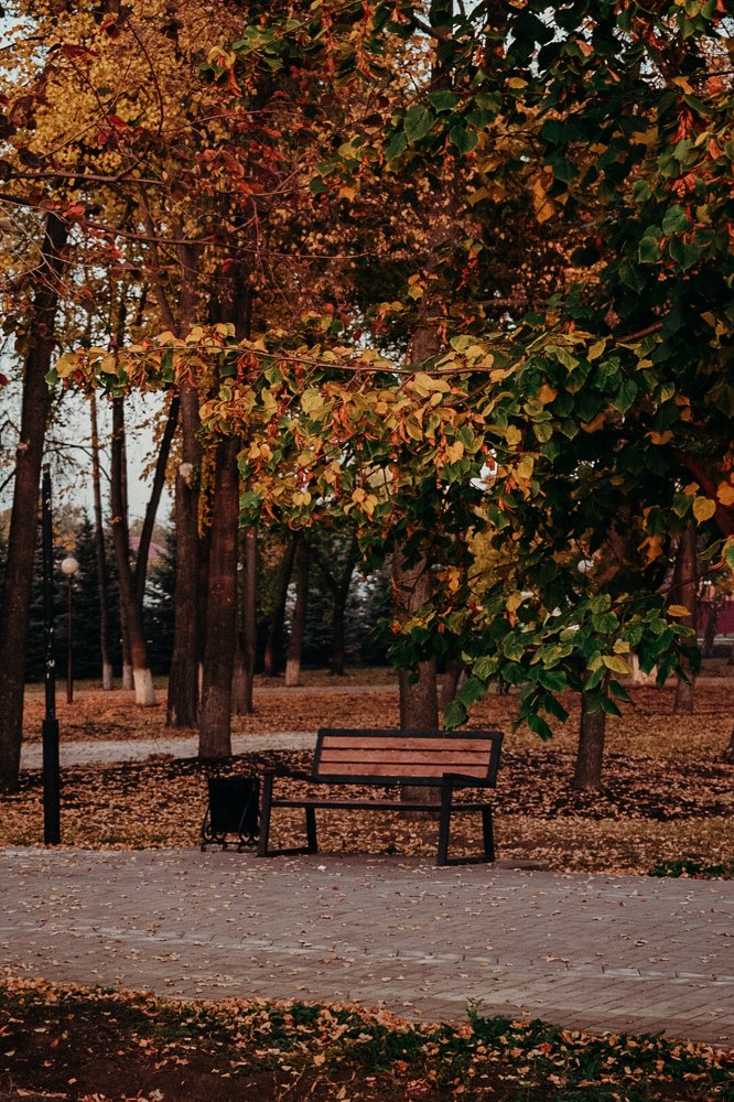 Photograph by Mаша Бакулина